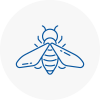 Bee Nest Removal Farnham