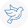 Bird Prevention Farnham