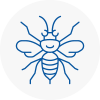 Farnham Hornet Nest Removals