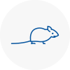 Mice Exterminators In Farnham
