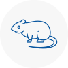 Rat Control Farnham
