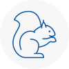 Farnham Rodent Removals