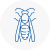 Farnham Wasp Nest Removal